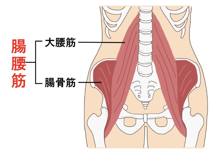 筋肉リミッター開錠術あしすとは筋肉ふわゆるをサステナブルにする整体院です。